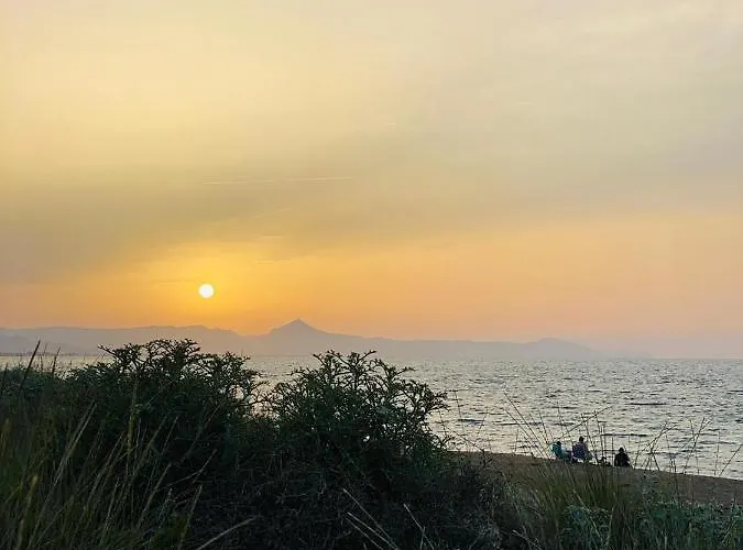 168 Bahia De - Deniasol